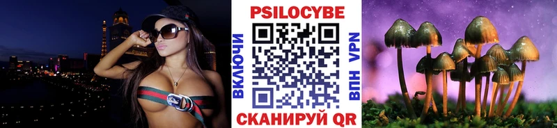 Псилоцибиновые грибы Cubensis  купить наркотики цена  Собинка 